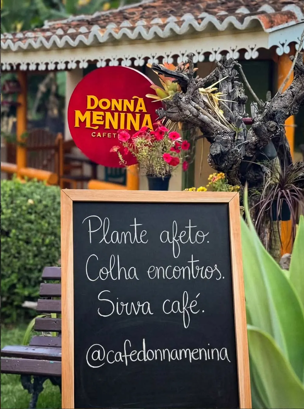 Cafeteria Donna Menina